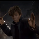 Illustration for article titled iFantastic Beasts and Where to Find Them/i Is Now a Five-Part Movie Series